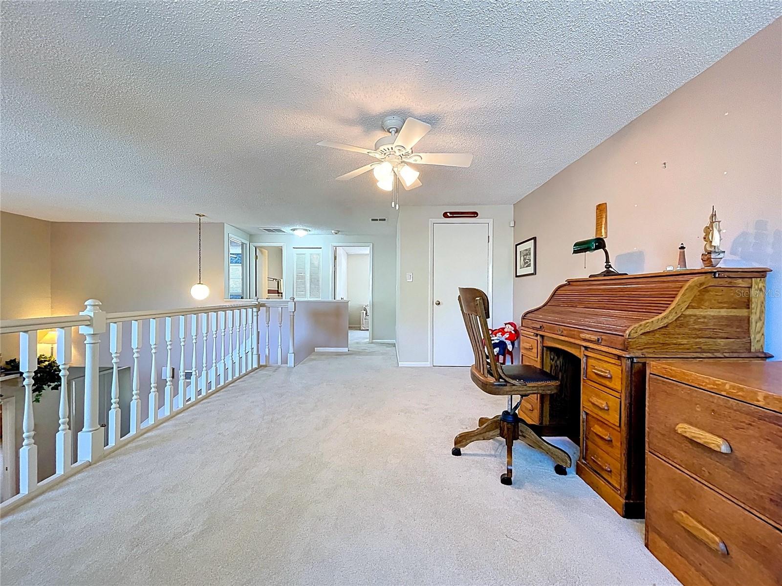 Large storage closet with adjacent hallway