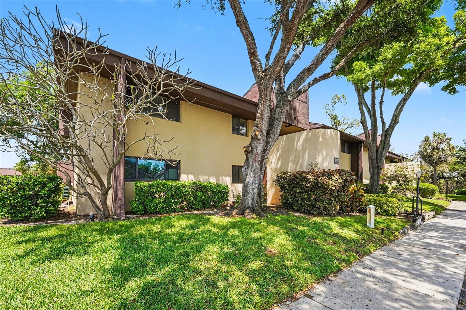 Building Front Daylight