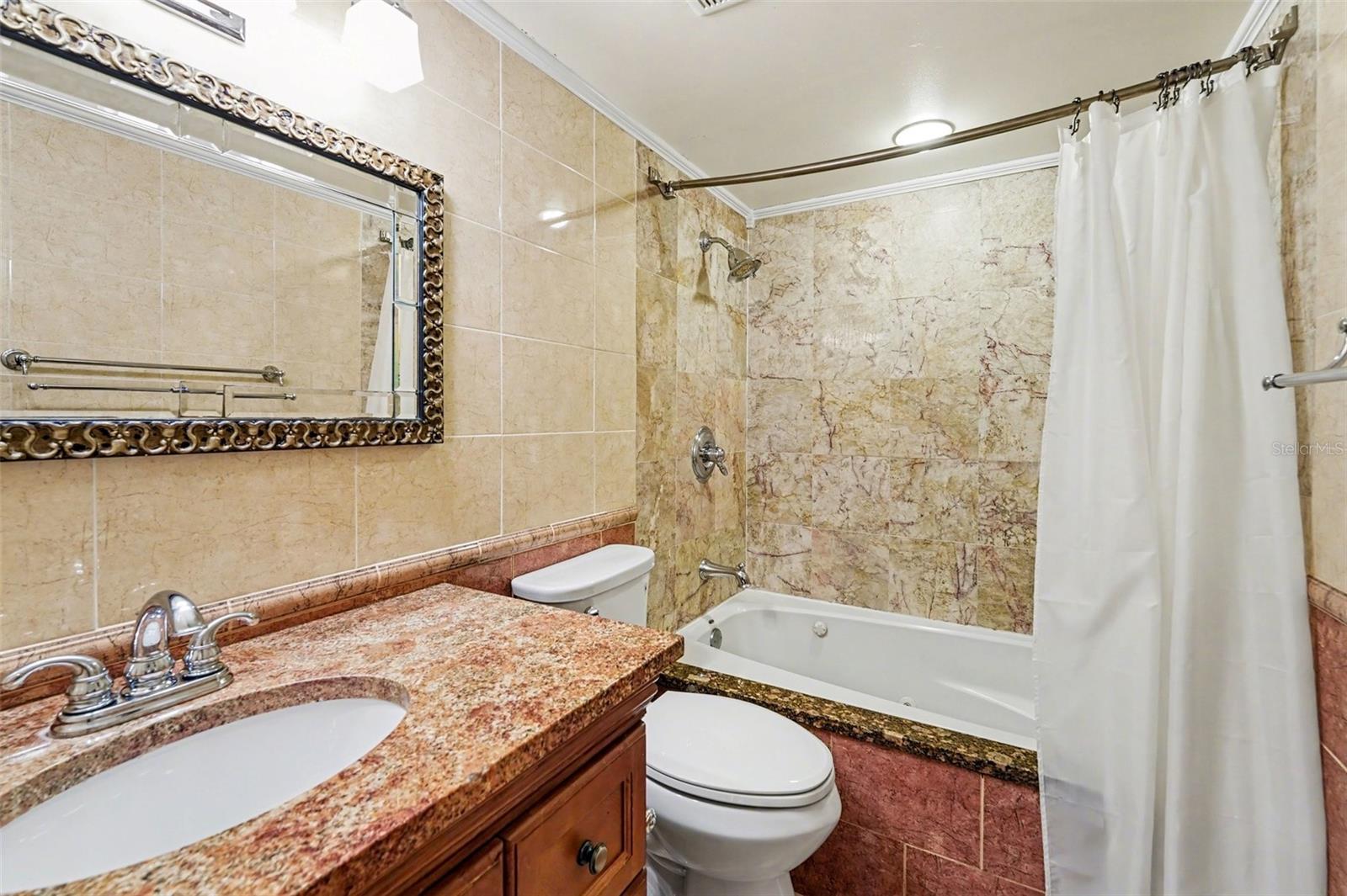 Guest Bathroom (Jetted tub. Handicap friendly, high toilet)