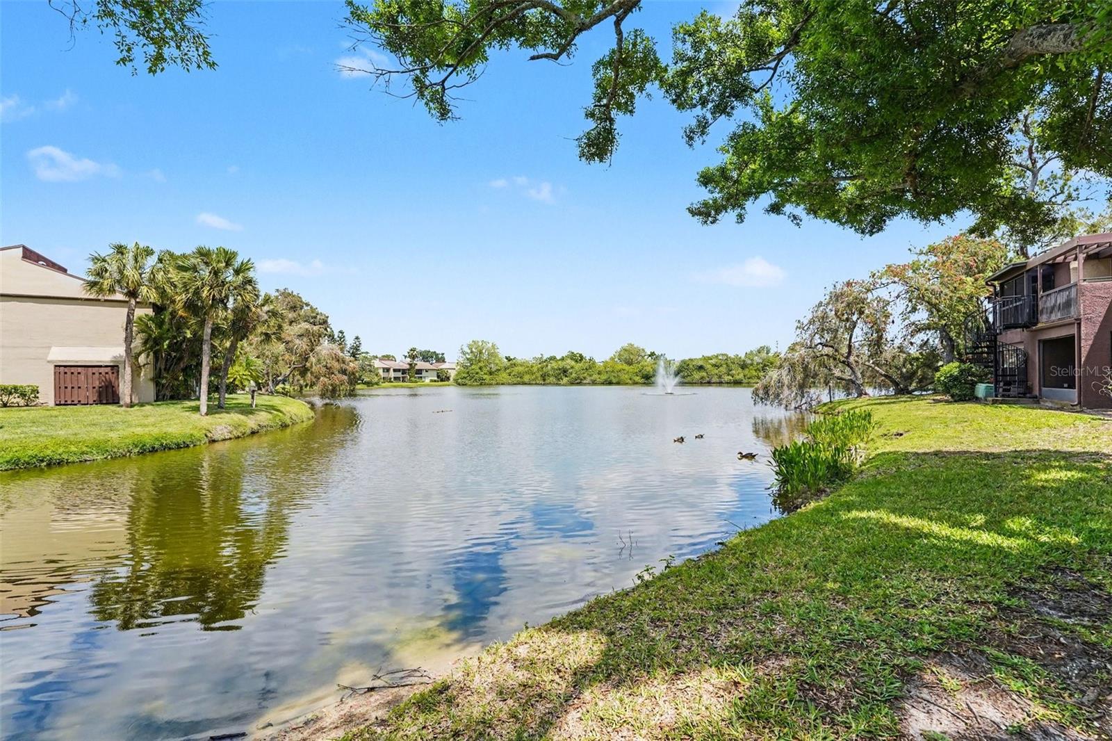 Water View from back patio