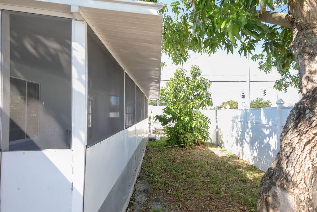 Right side of the house