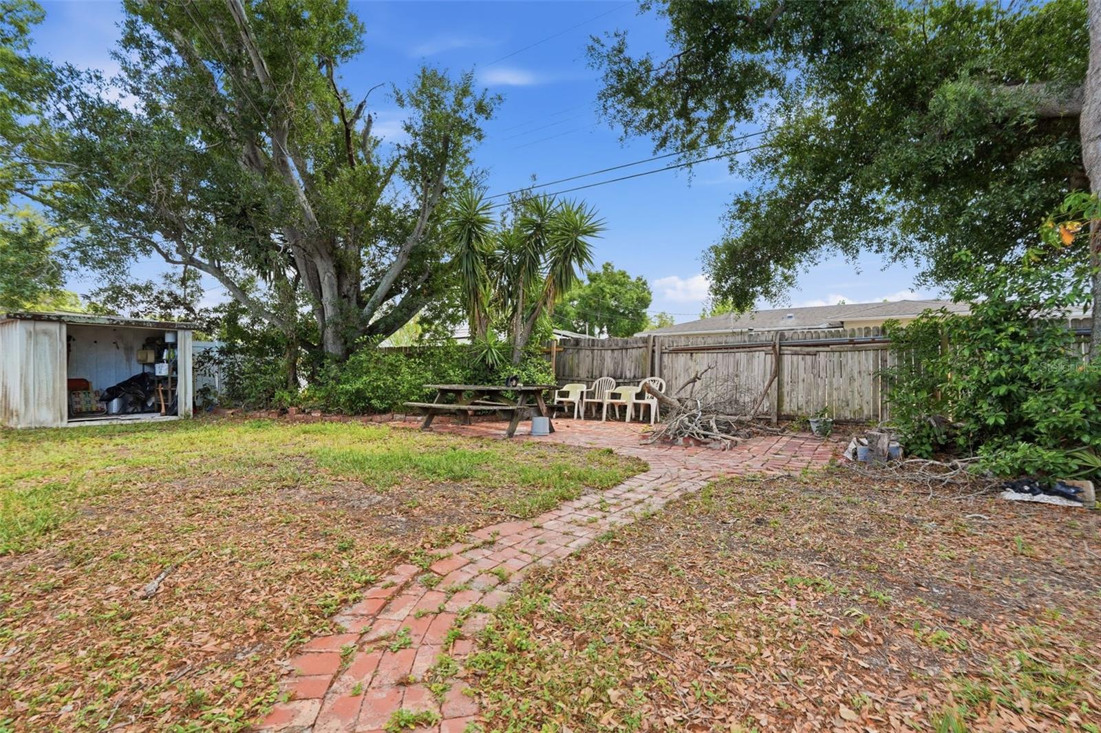 Backyard