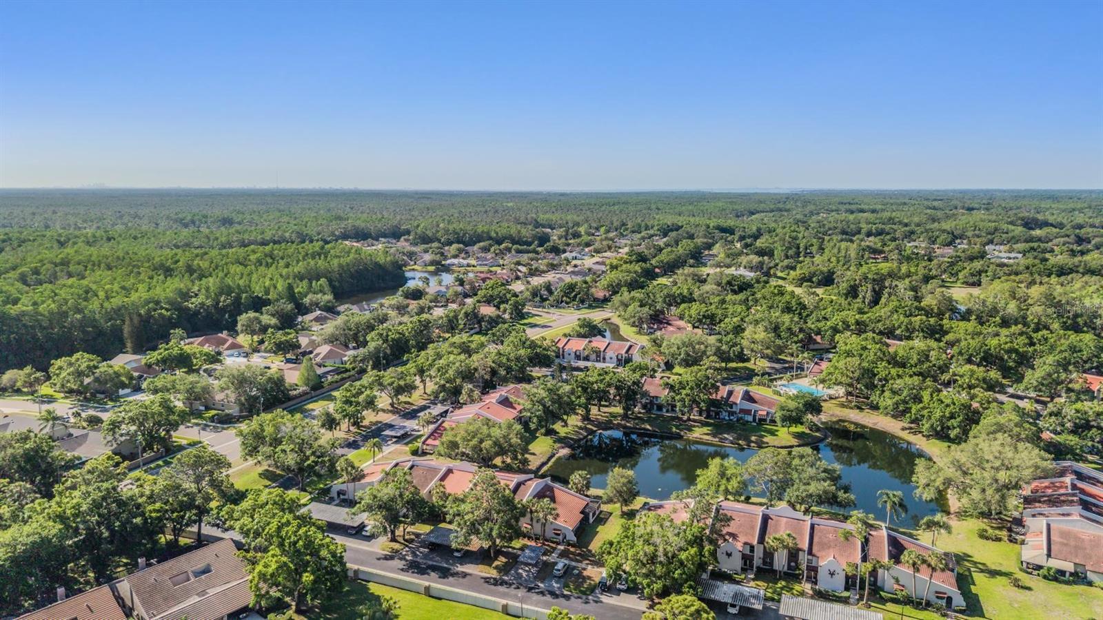 Aerial view of the community