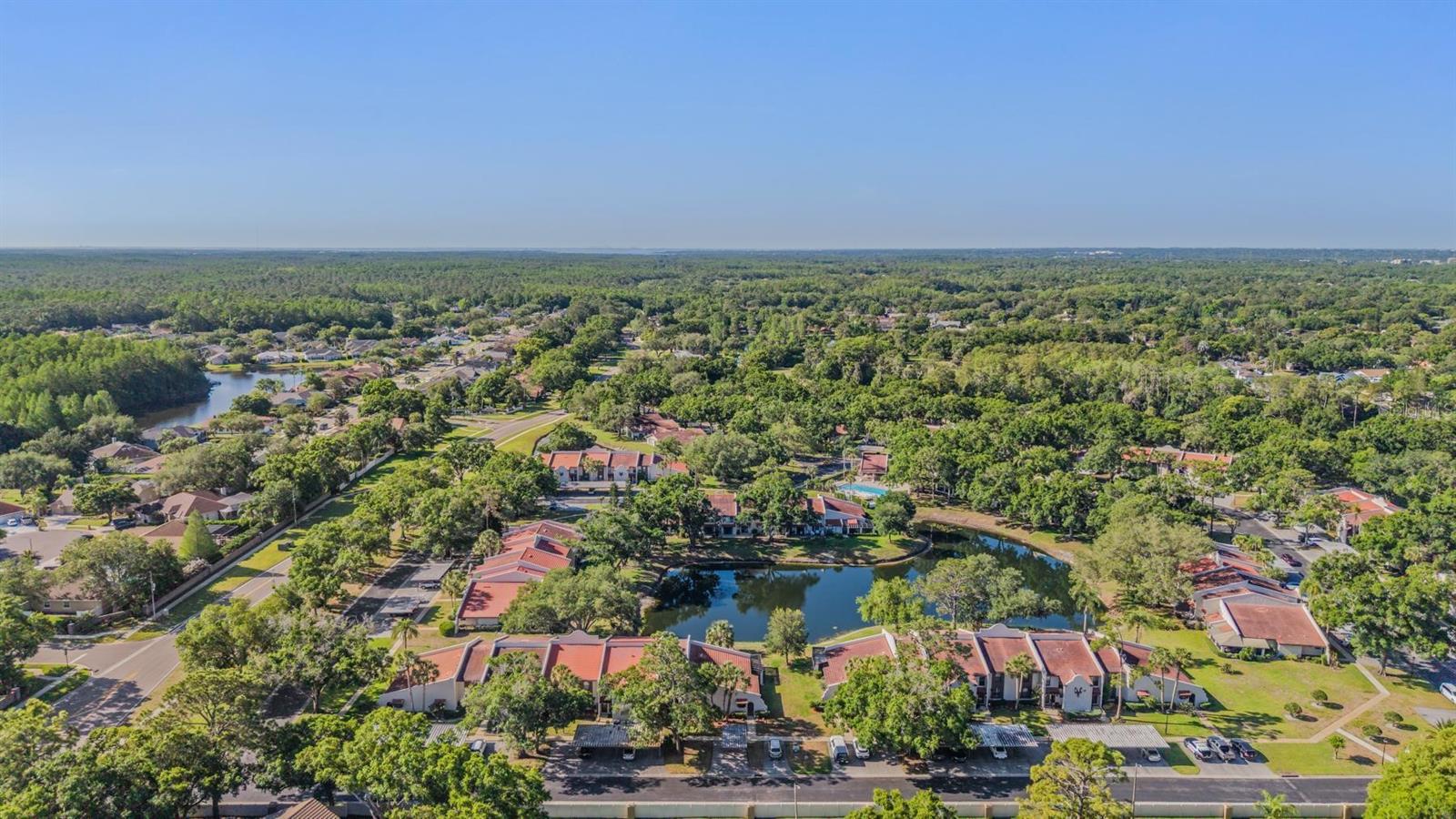 Aerial view of the community