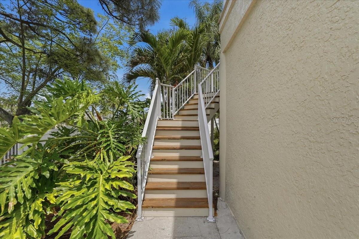 LUSH, TROPICAL LANDSCAPING!