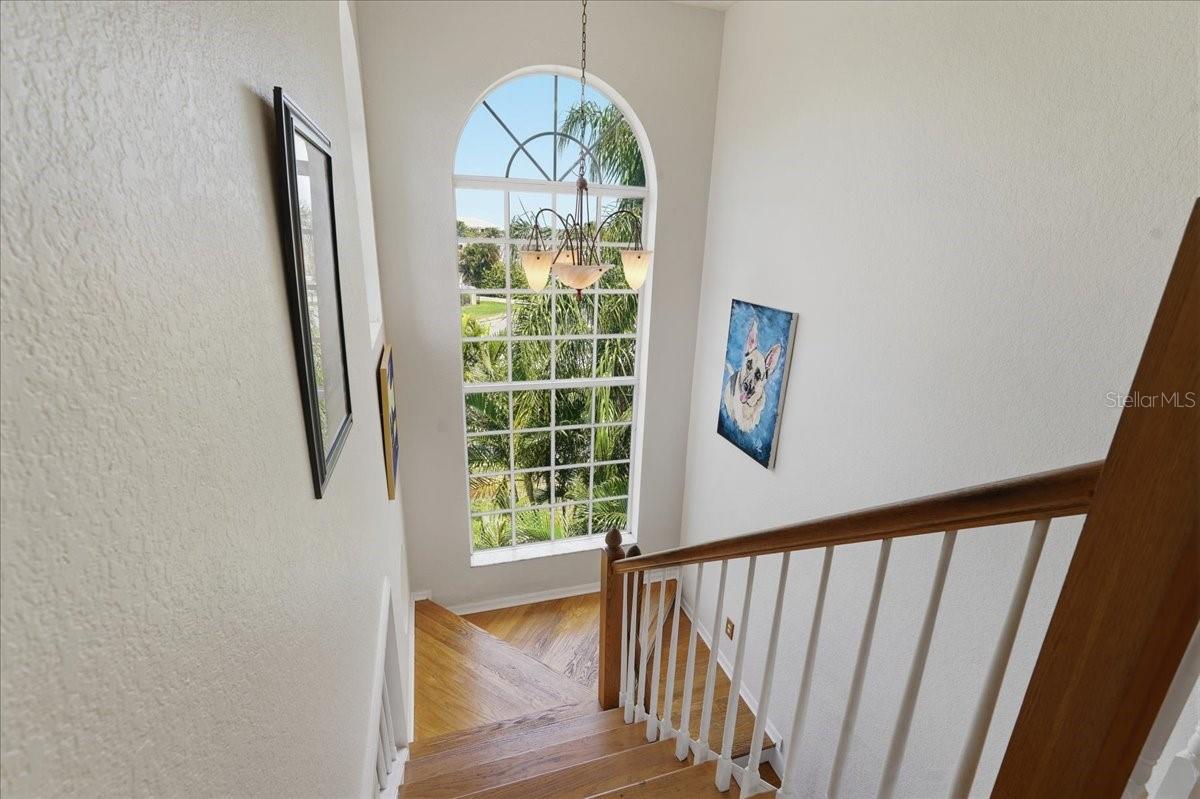 BEAUTIFUL ARCHED WINDOW