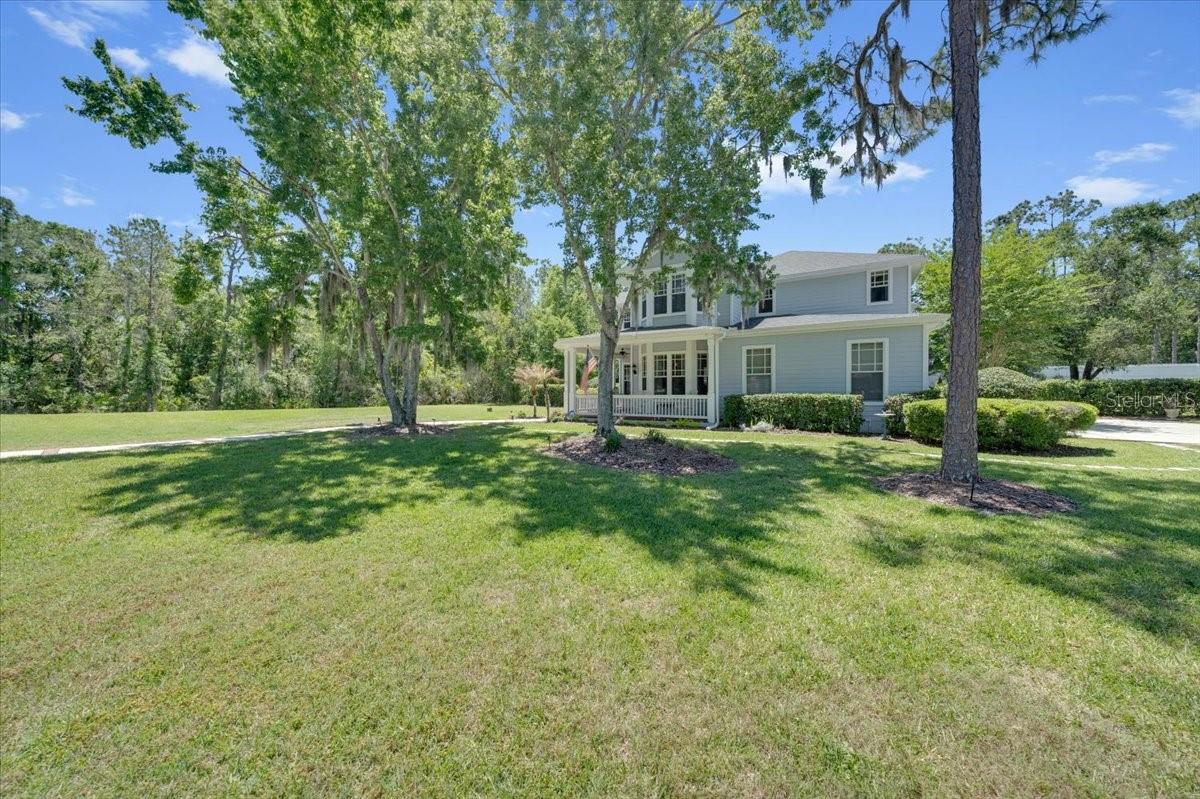 Perfect for Pets, Play, and Outdoor Living