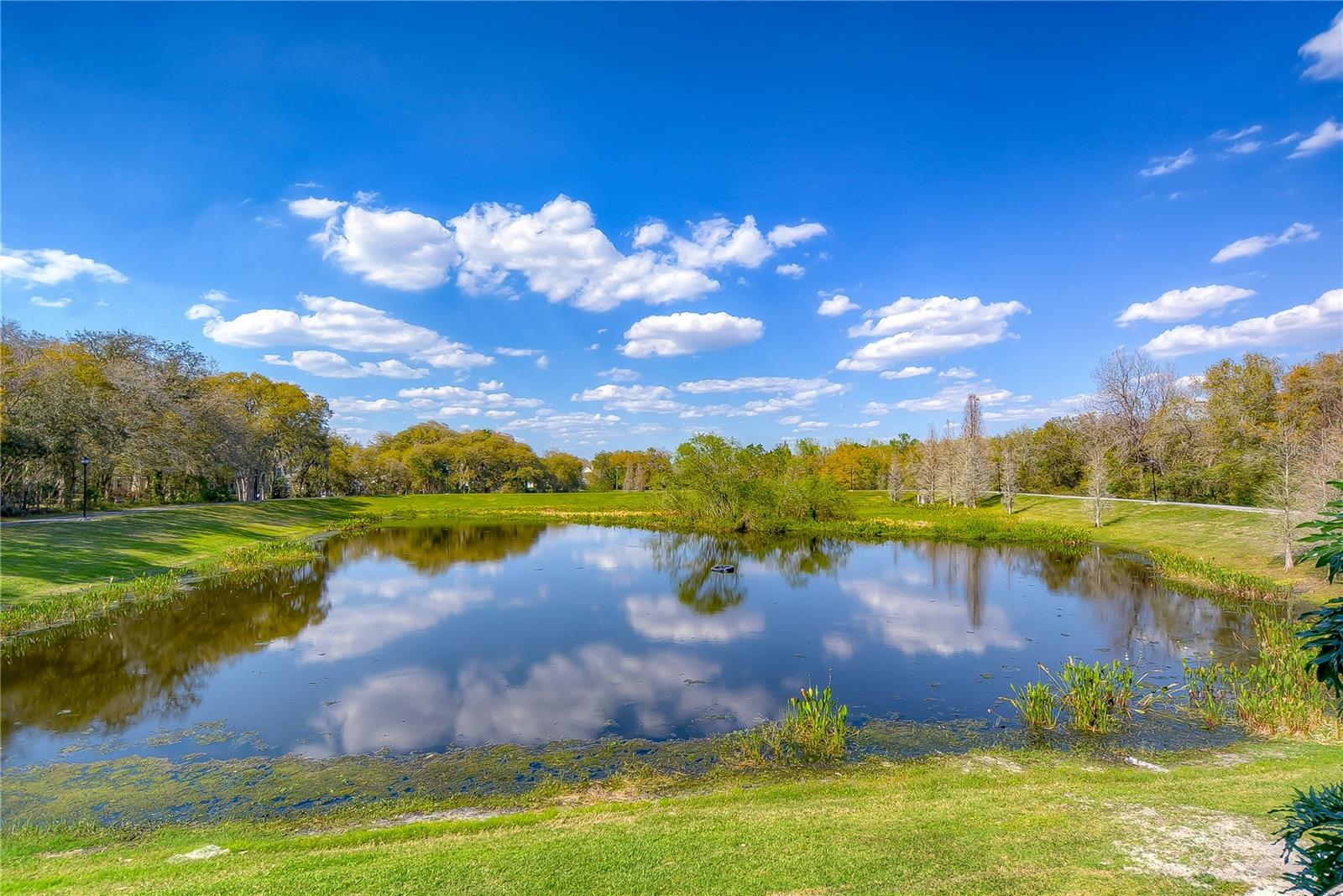 Miles of Scenic Walking & Biking Trails