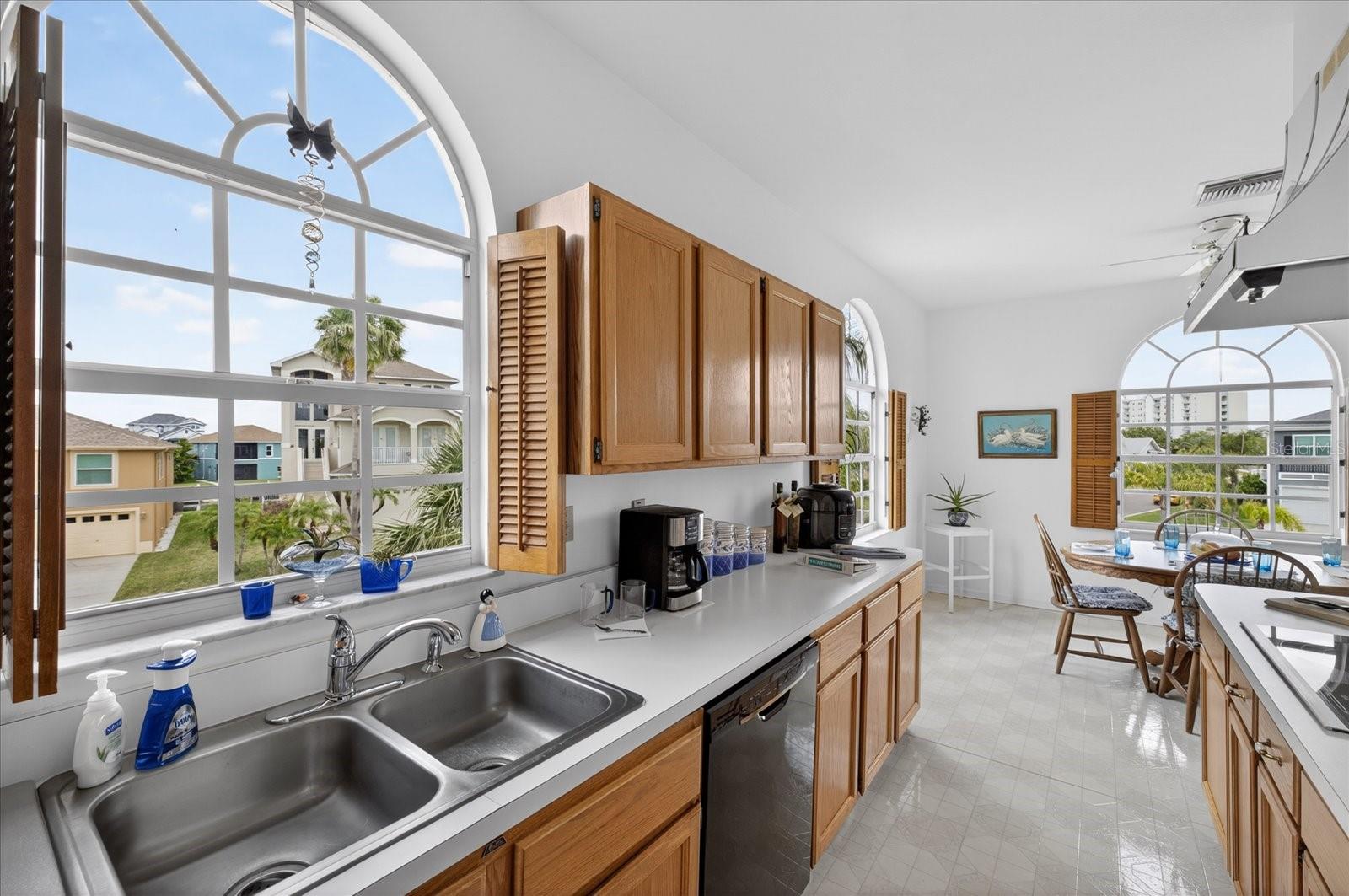 Bright views from kitchen sink window