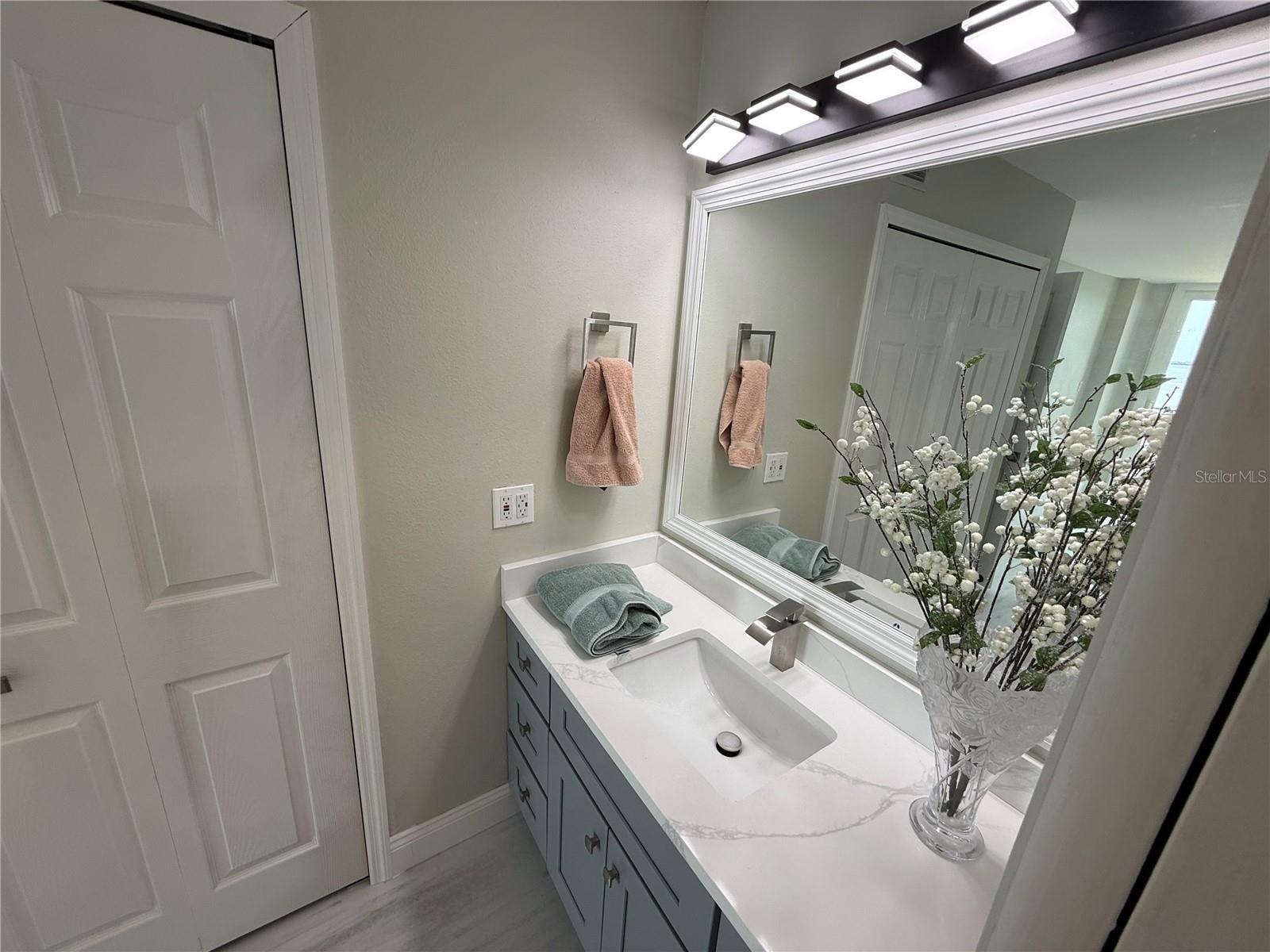 Primary Bedroom En Suite Sink and Vanity