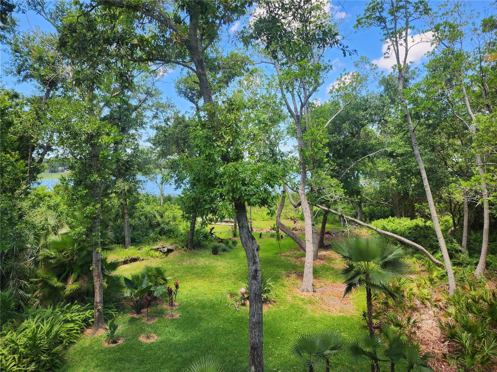 AMAZING VIEW FROM THE BEDROOM