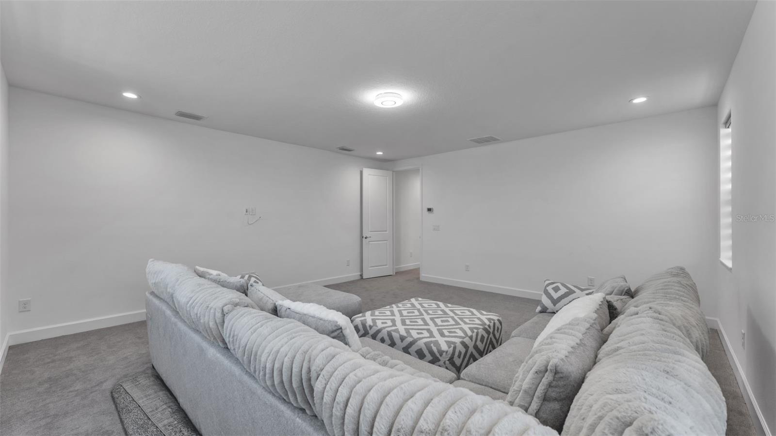 movie room/ playroom