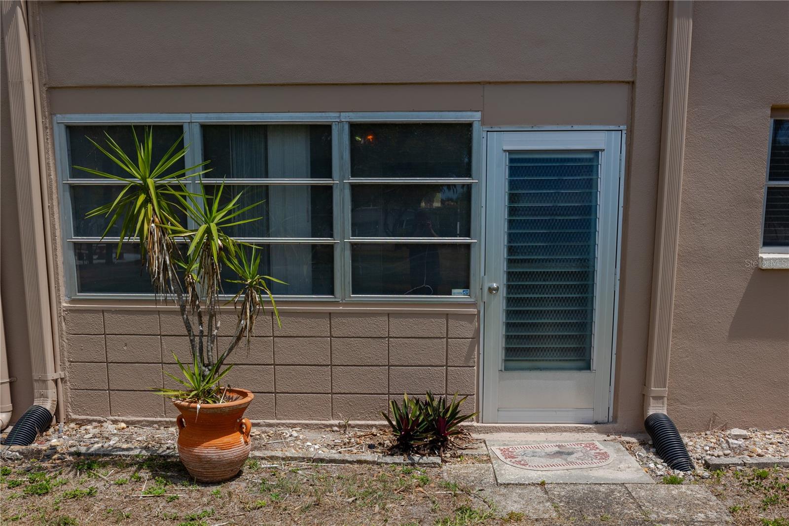 Back Door