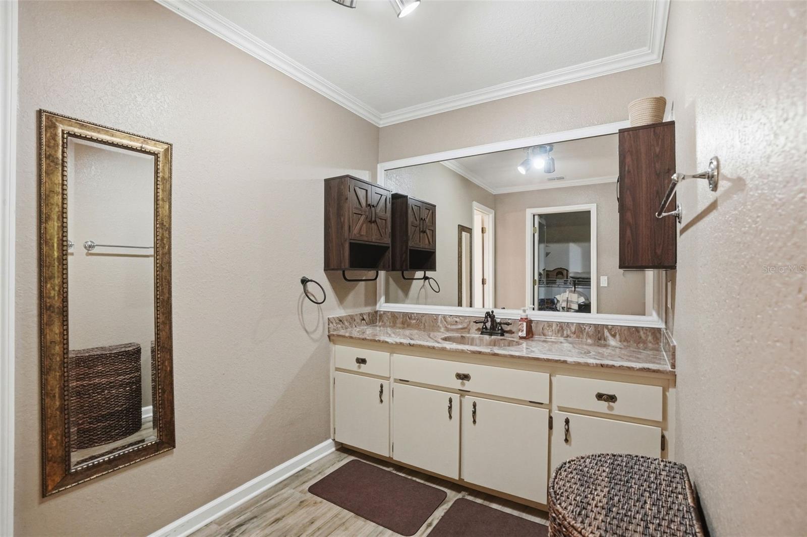 Primary EnSuite Bathroom with oversized Vanity Sink Area in Dressing Room between Bedroom and Bathroom