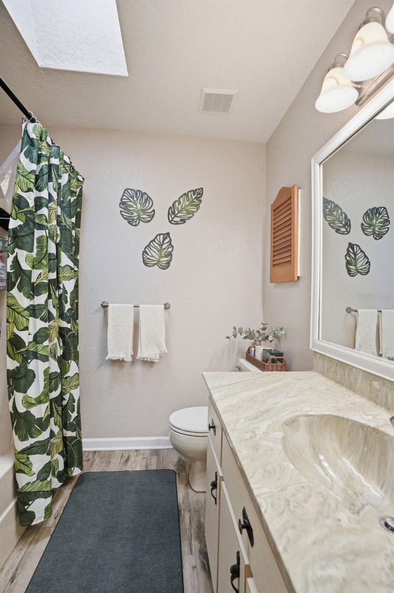 Hall Bathroom