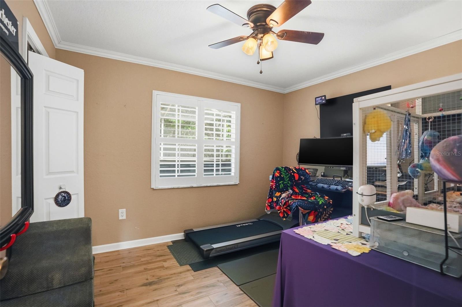 Back Bedroom with 2 Large Closets