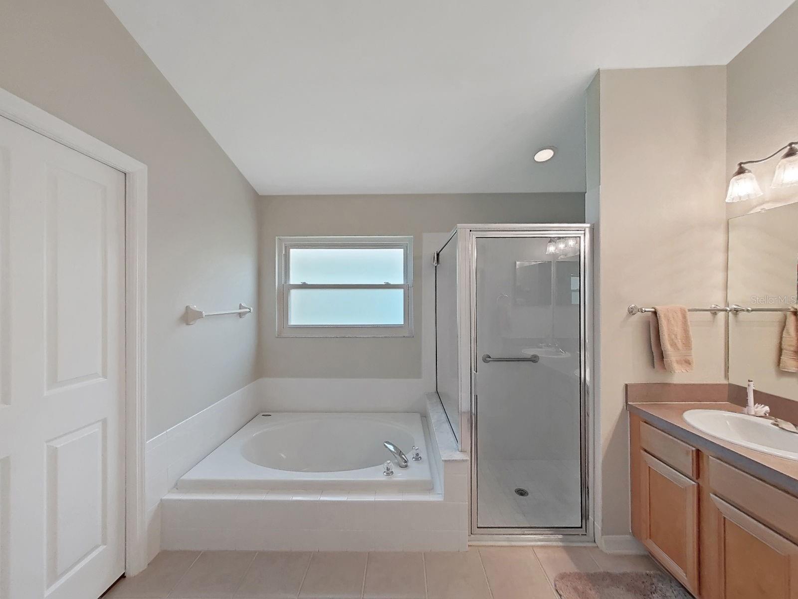 Separate Tub with Shower