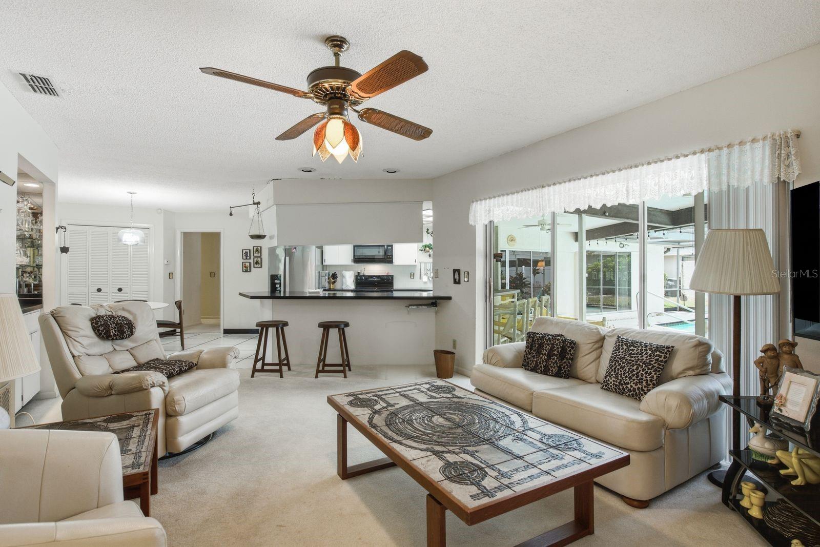 Combo Family Room and kitchen space