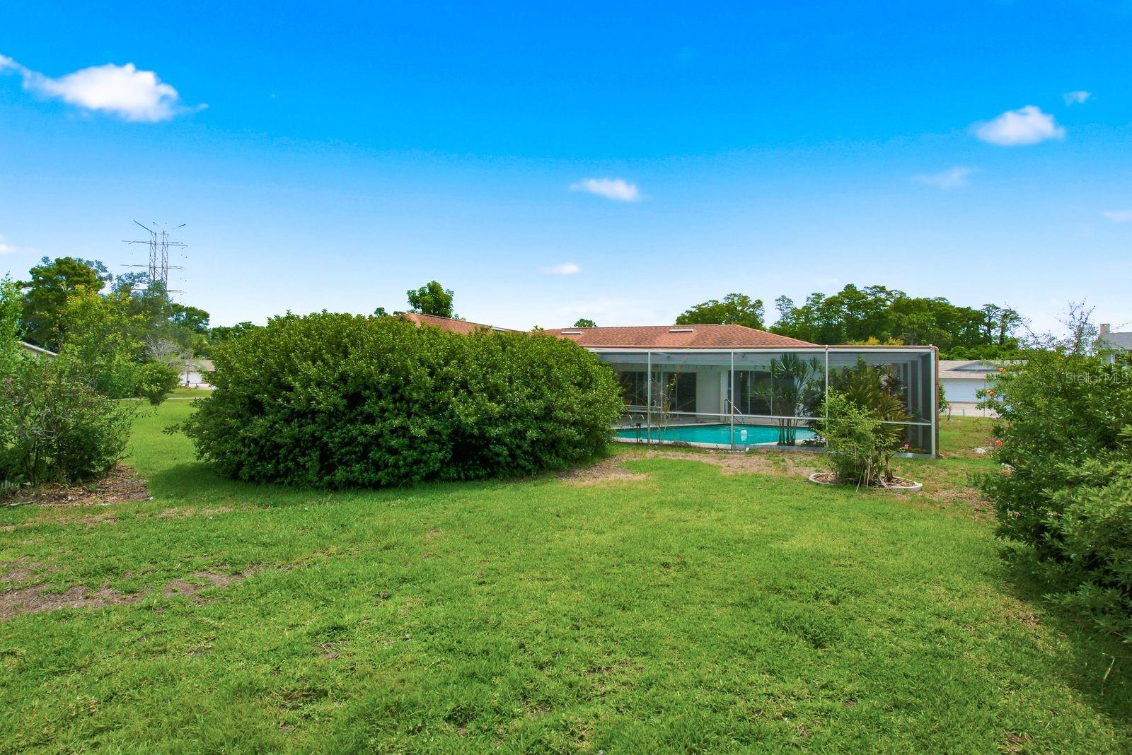 Spacious backyard