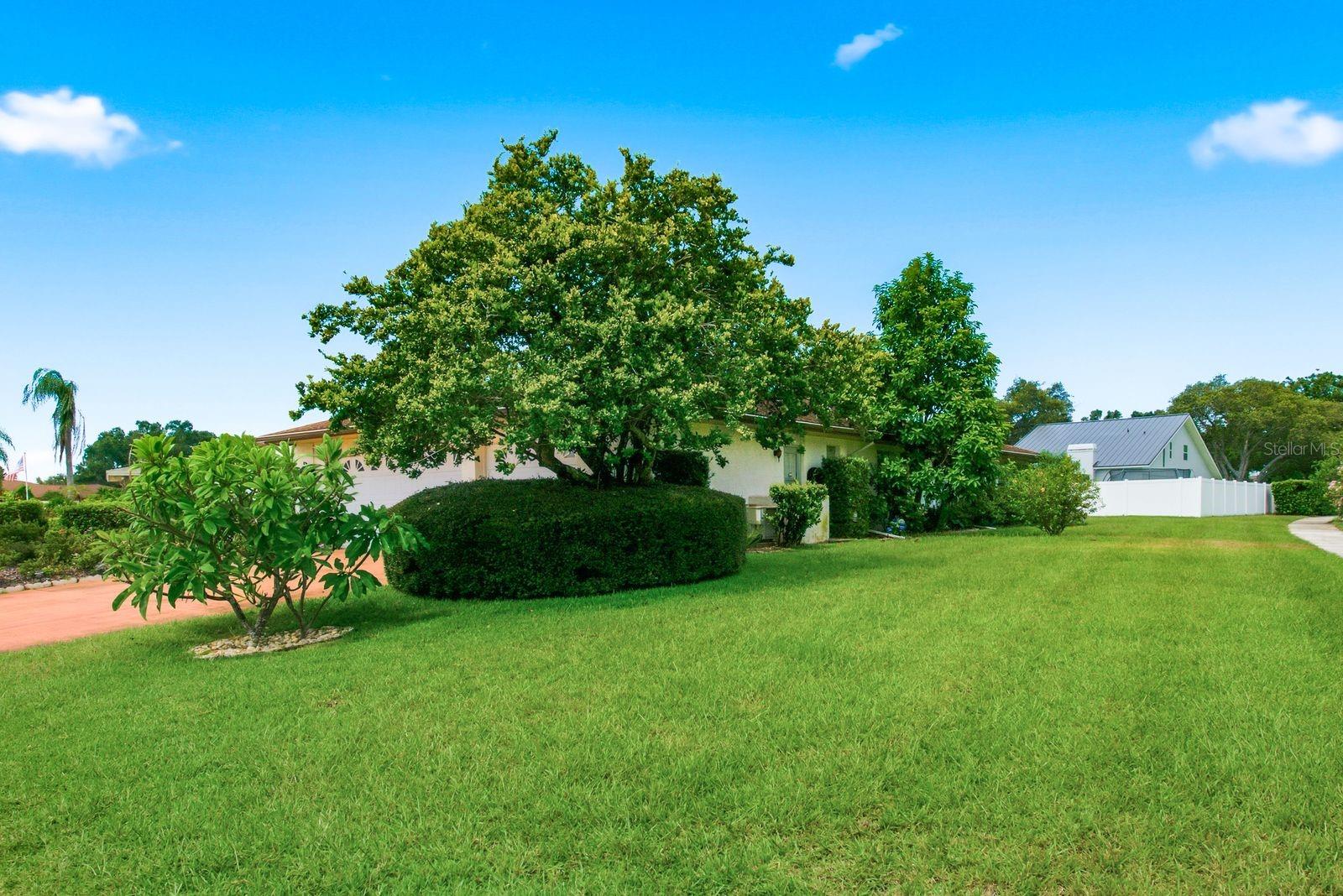 Wide side yard