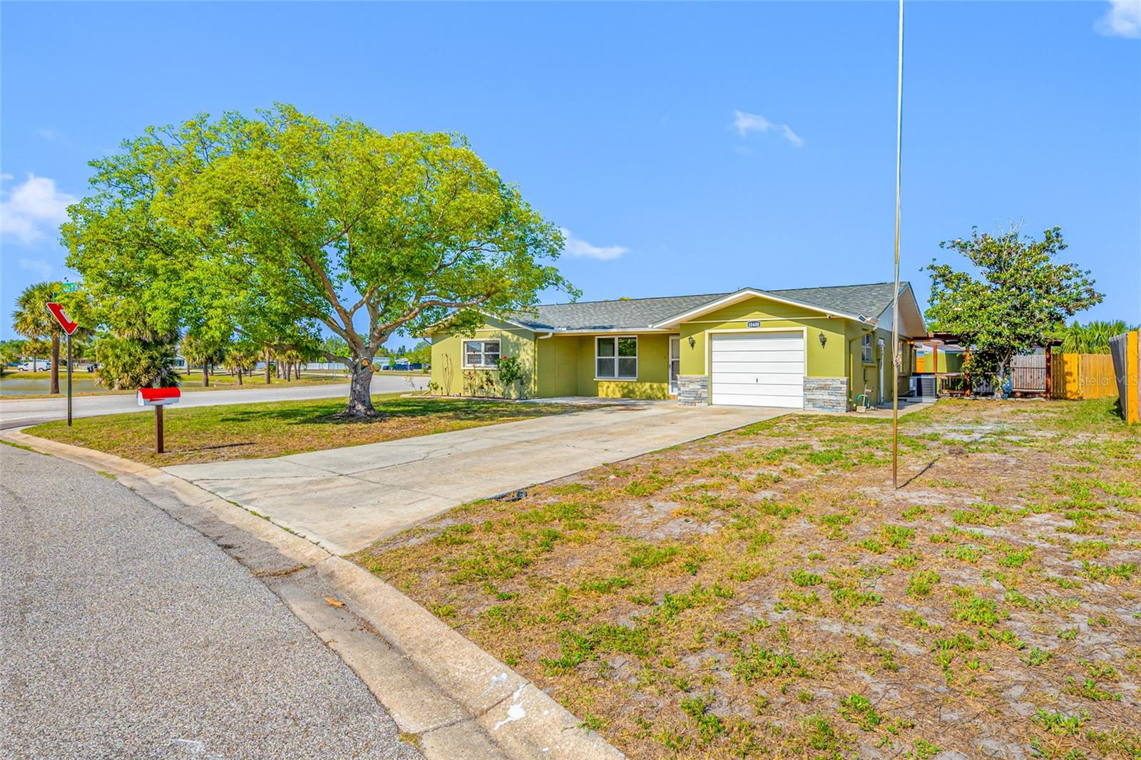 10400 Alice M Court Port Richey FL 34668 - Front lawn