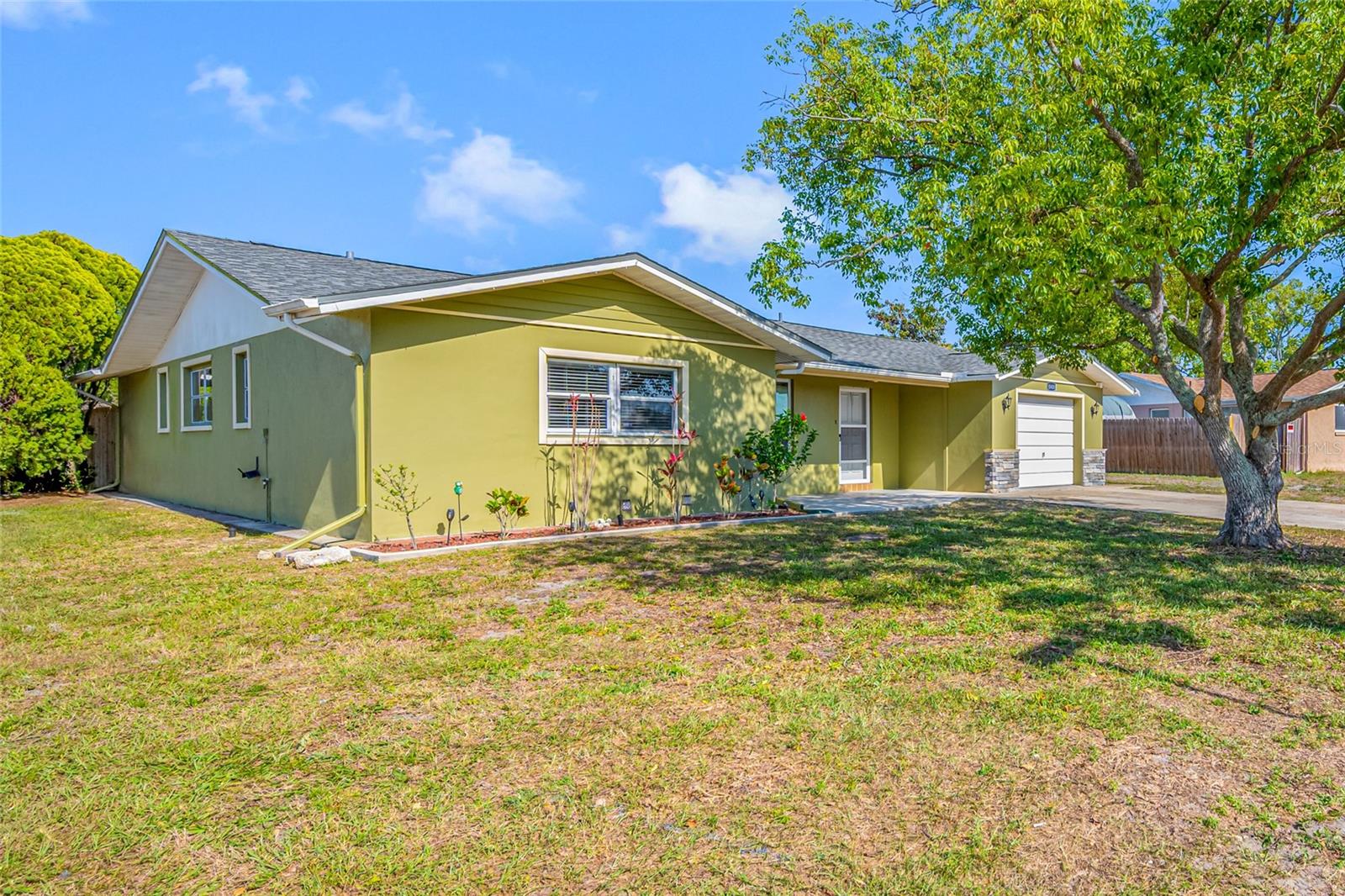 10400 Alice M Court Port Richey FL 34668 - Front lawn