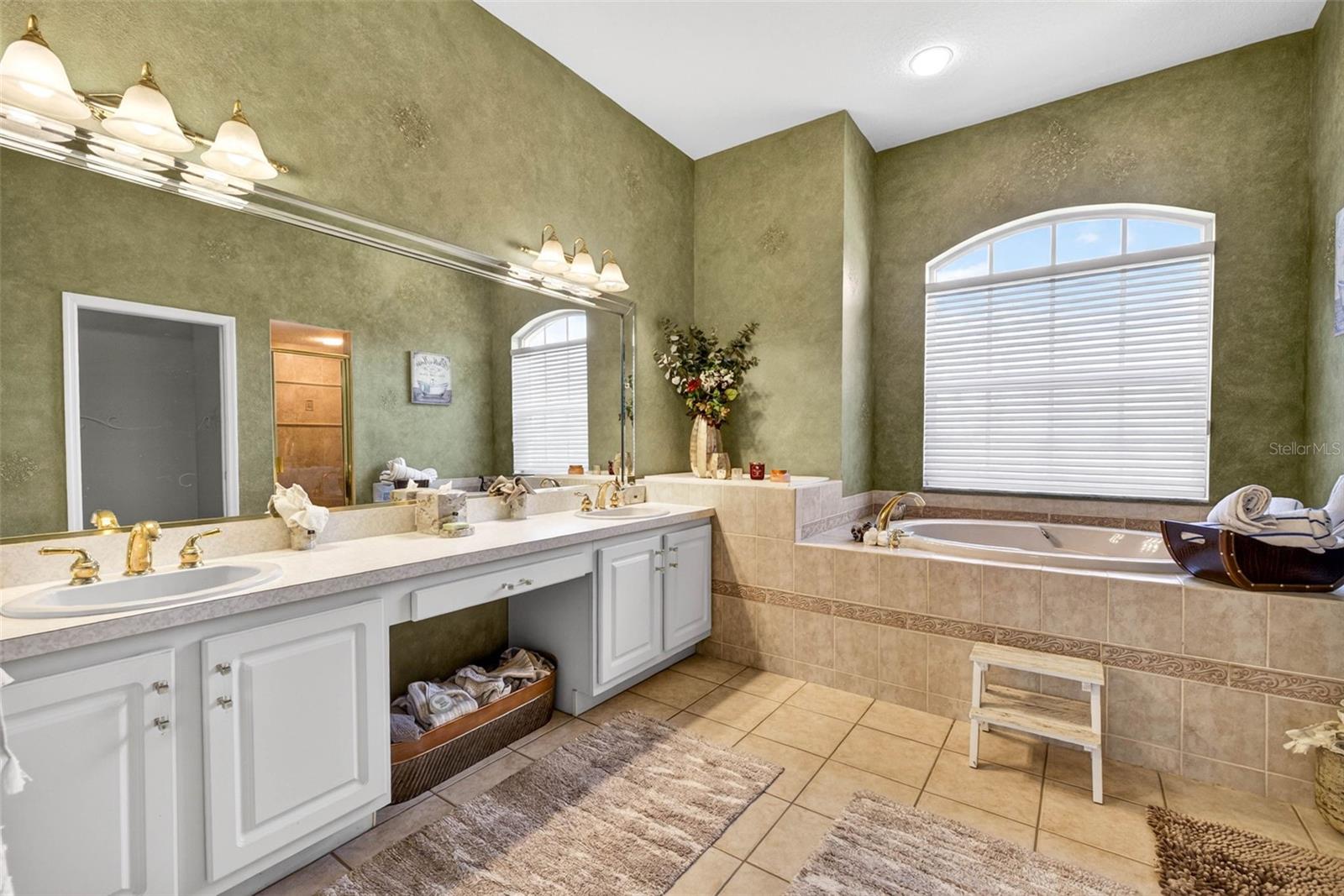 Primary suite bathroom