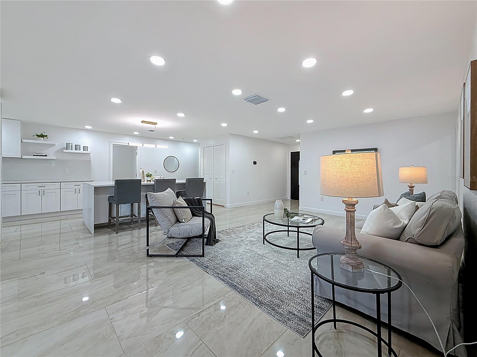 Living Room - Kitchen