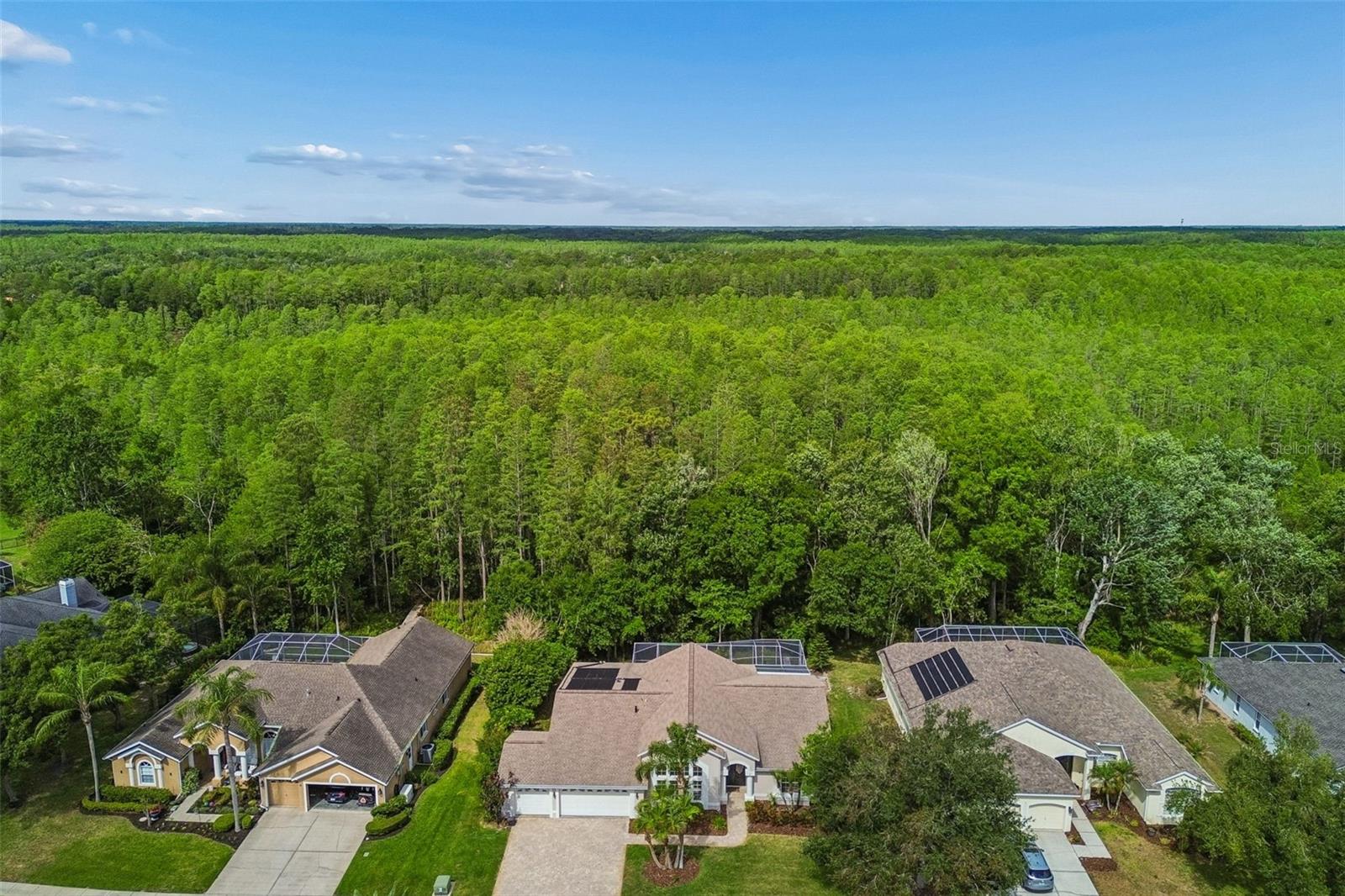 Stunning conservation lot!