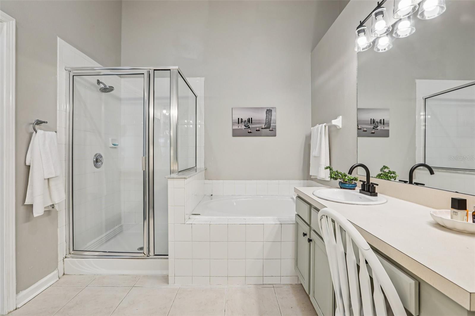 Primary bathroom - stand alone shower and tub