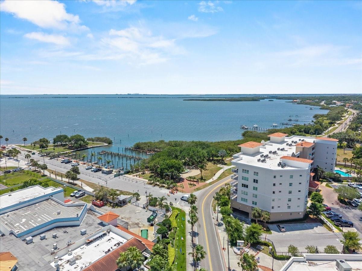 Sparkling Old Tampa Bay