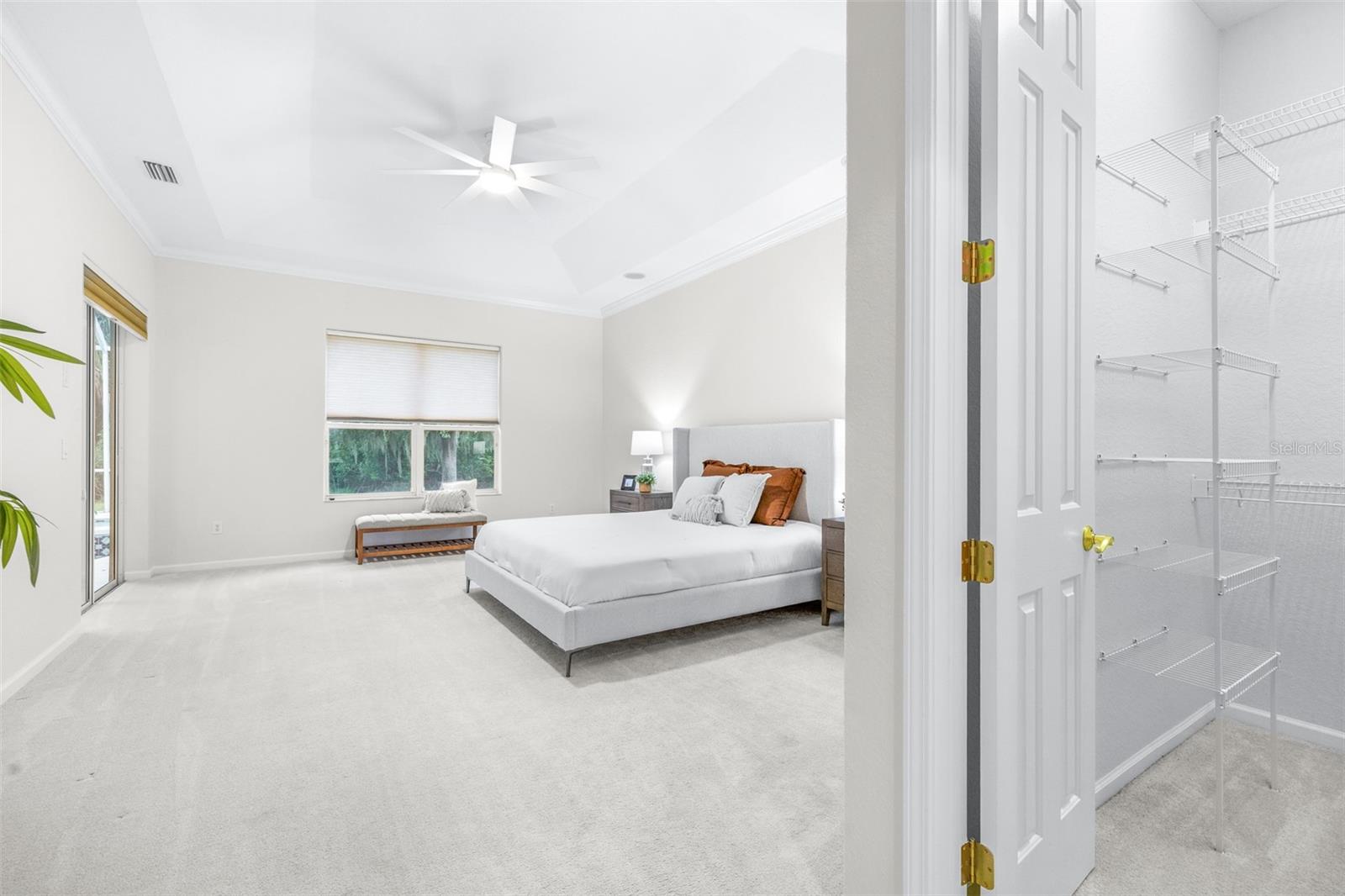 Private primary suite featuring tray ceilings and serene conservation views