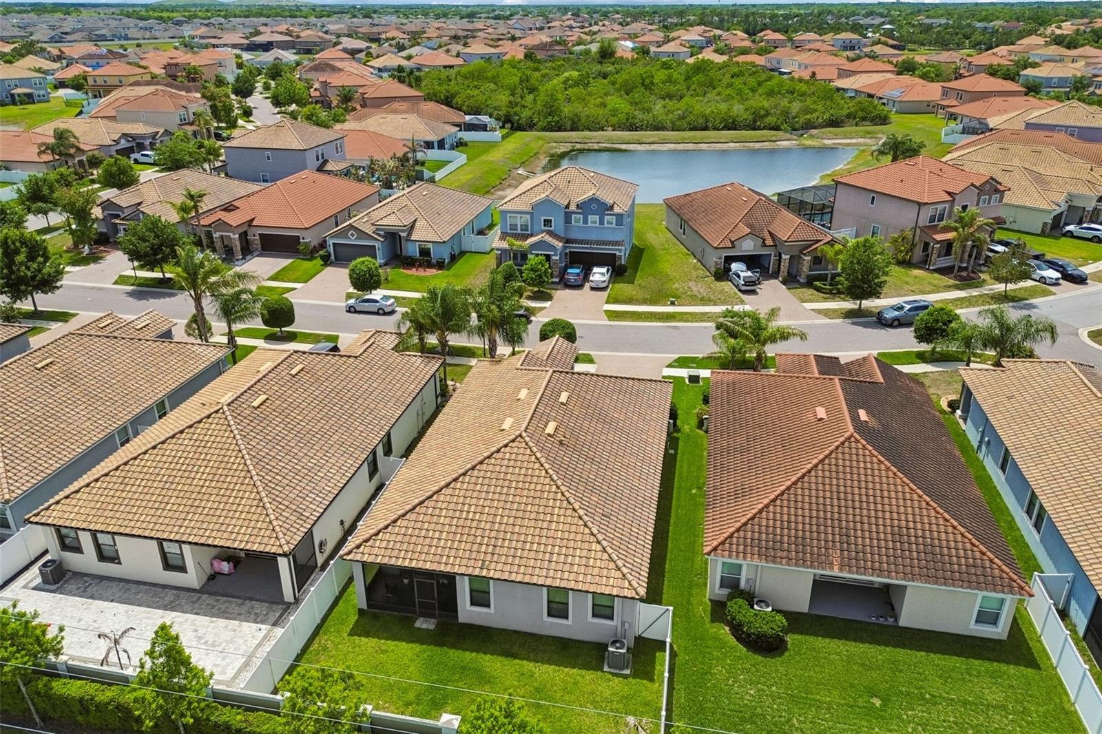 Your impressive new backyard oasis