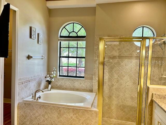 Master Bath with Spa Tub, Arch Window and TV