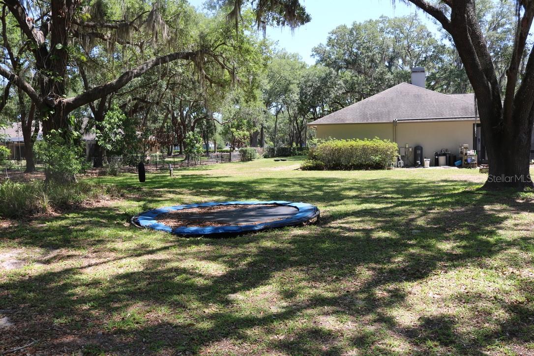 Trampoline recessed in backyard