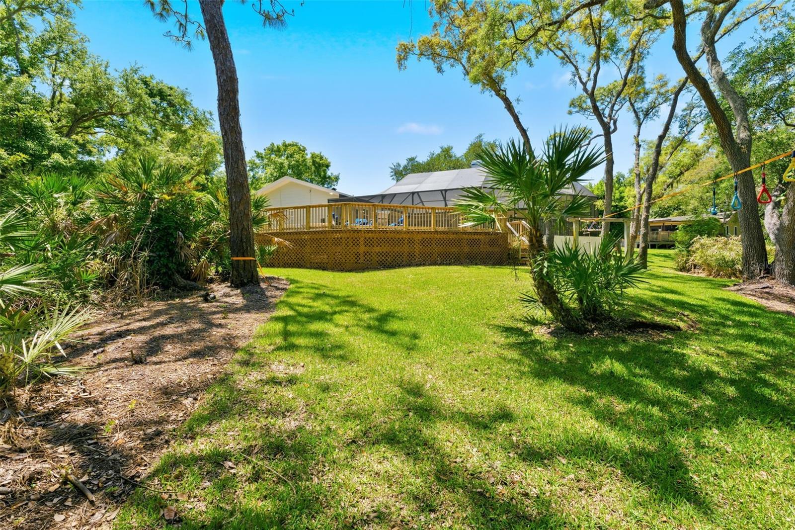 Back Yard Surrounded by Trees