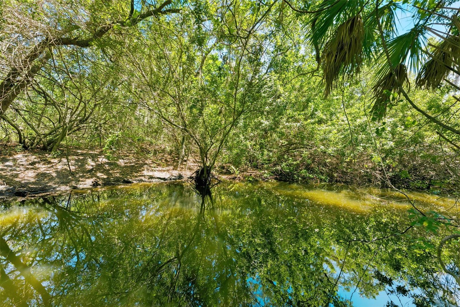 View of Curlew Creek