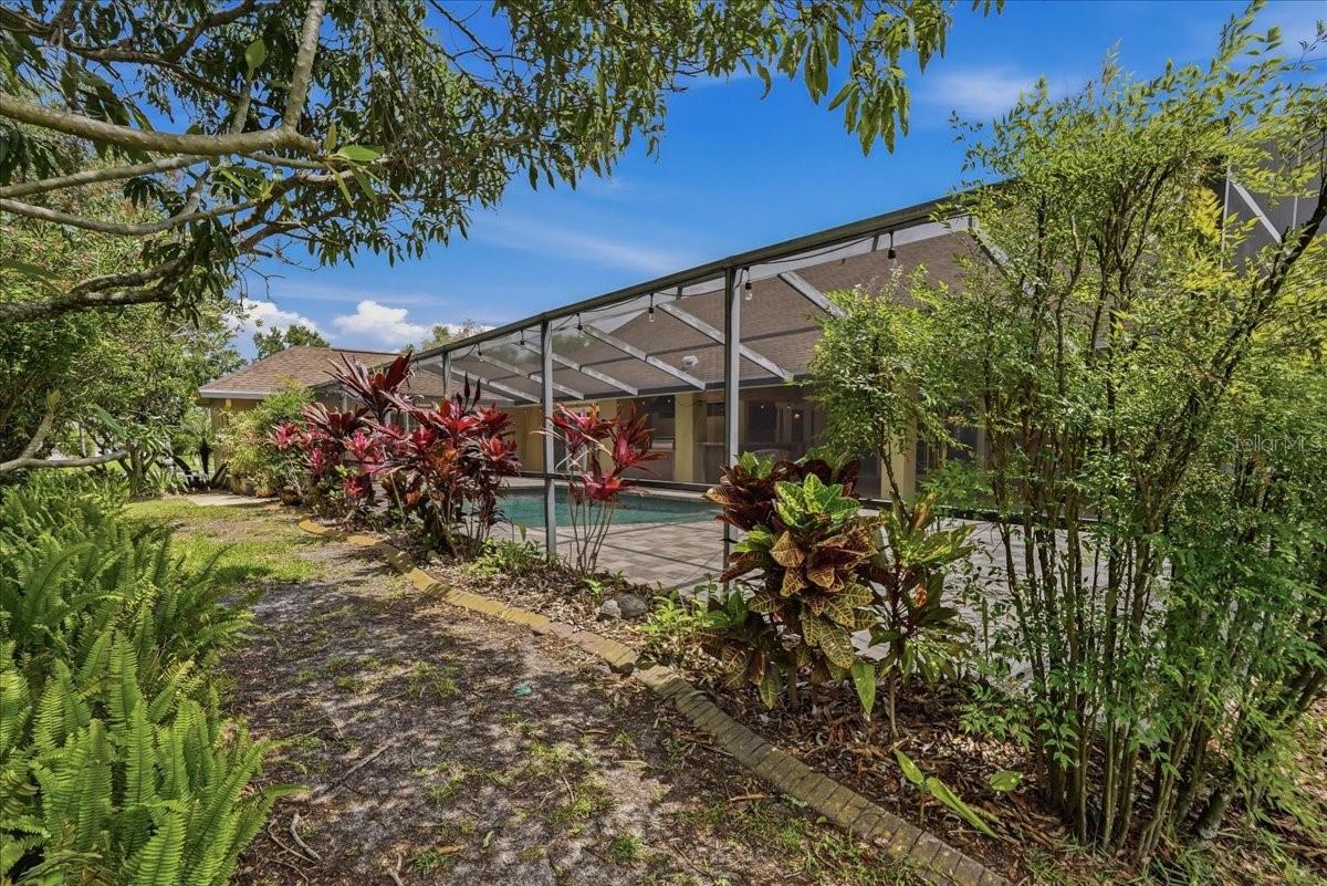 TROPICAL, LUSH LANDSCAPING!