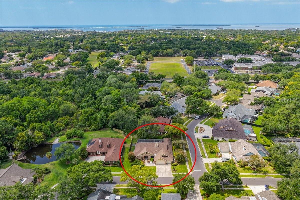 PRIME PALM HARBOR LOCATION!