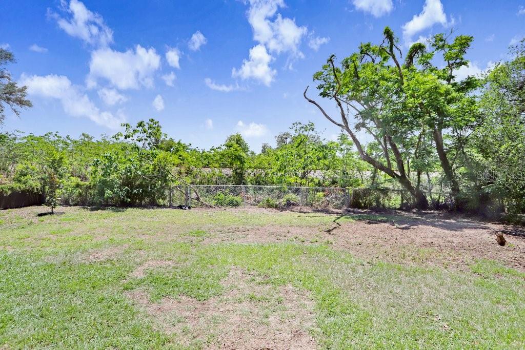 Backyard no rear neighbors