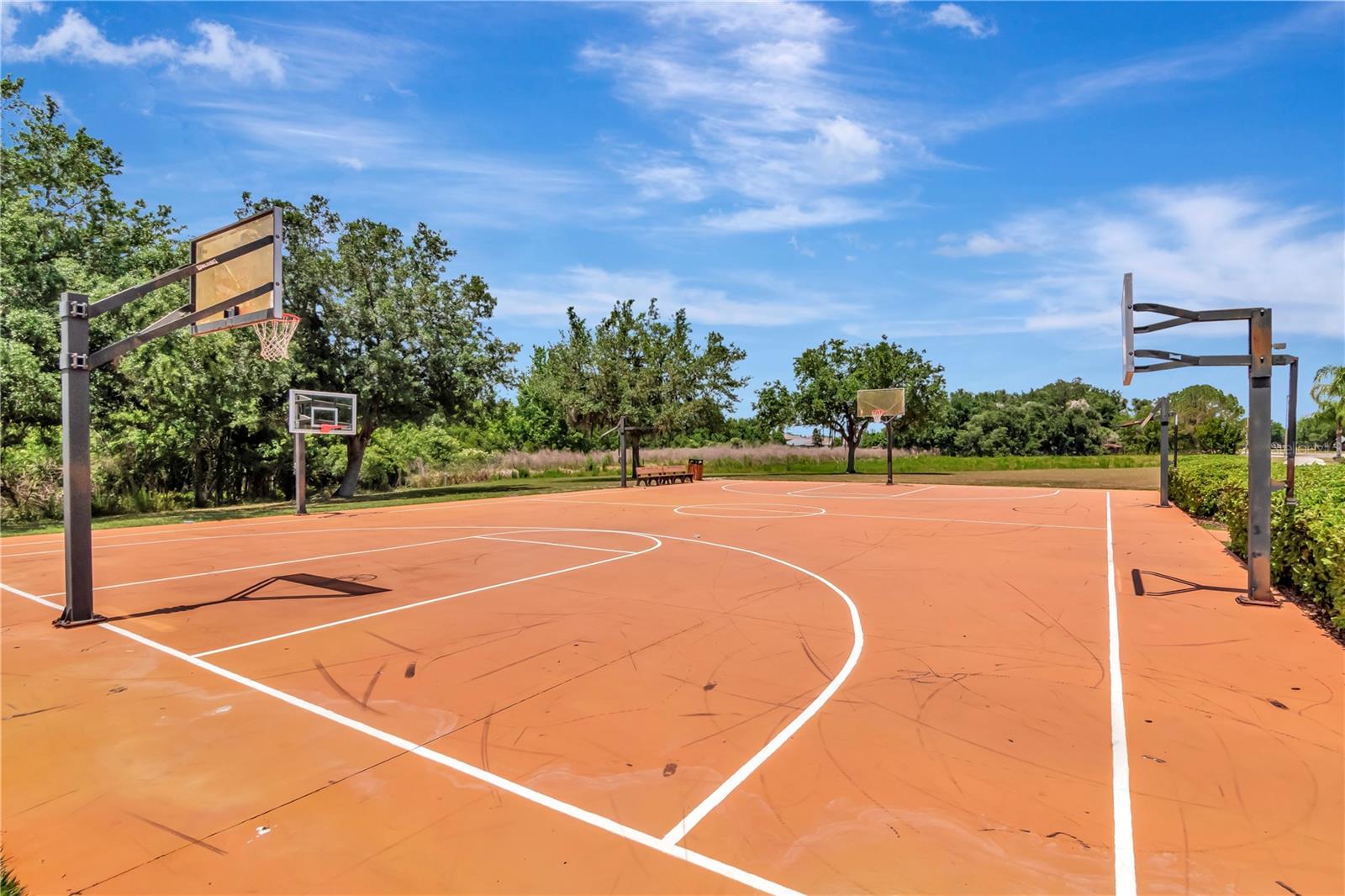 Basketball Court