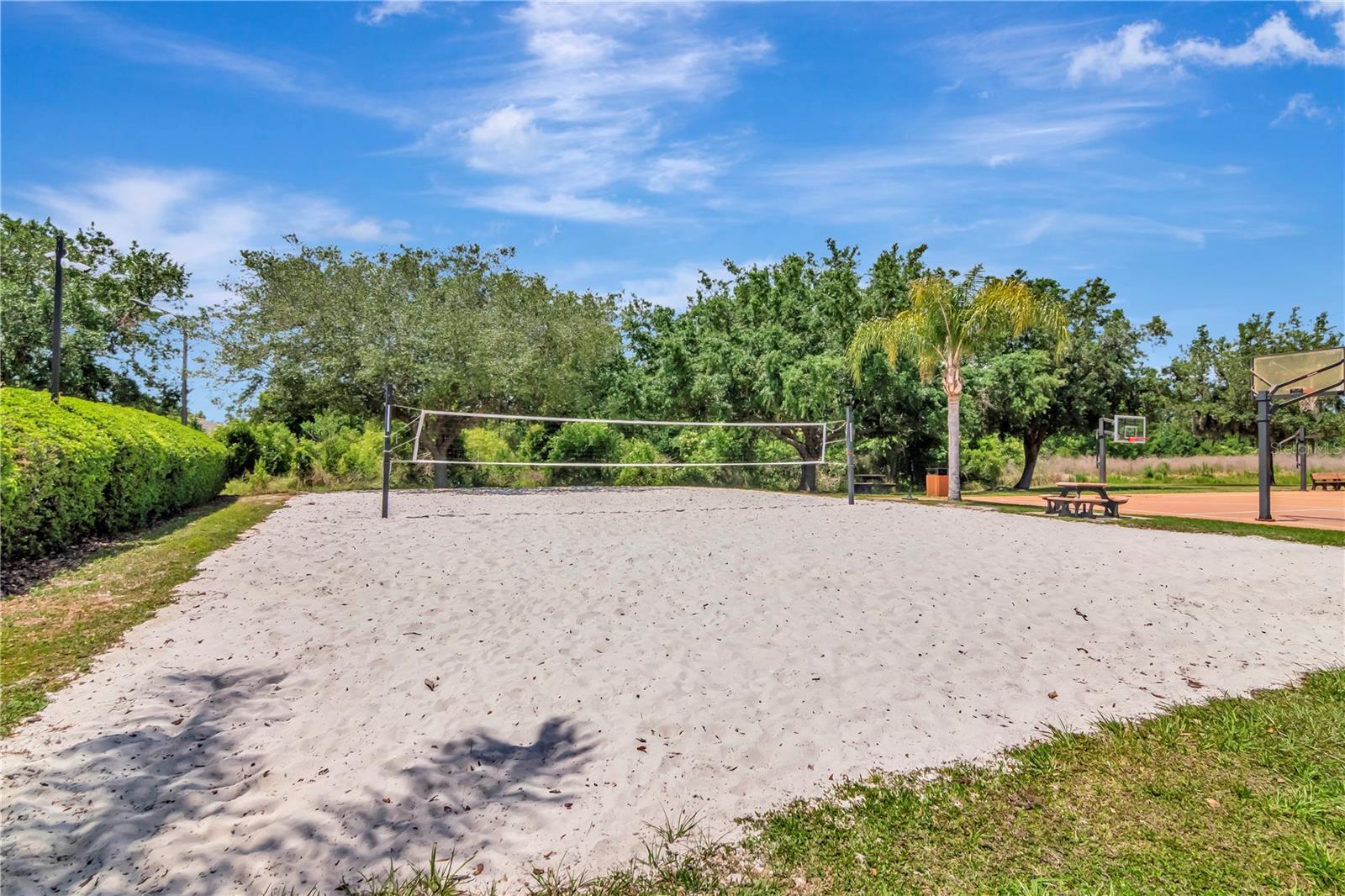 Volley ball
