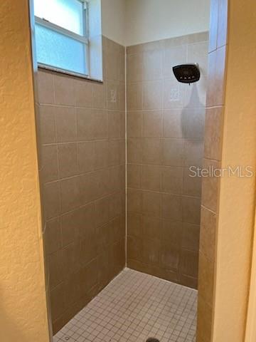 Master Bath Shower