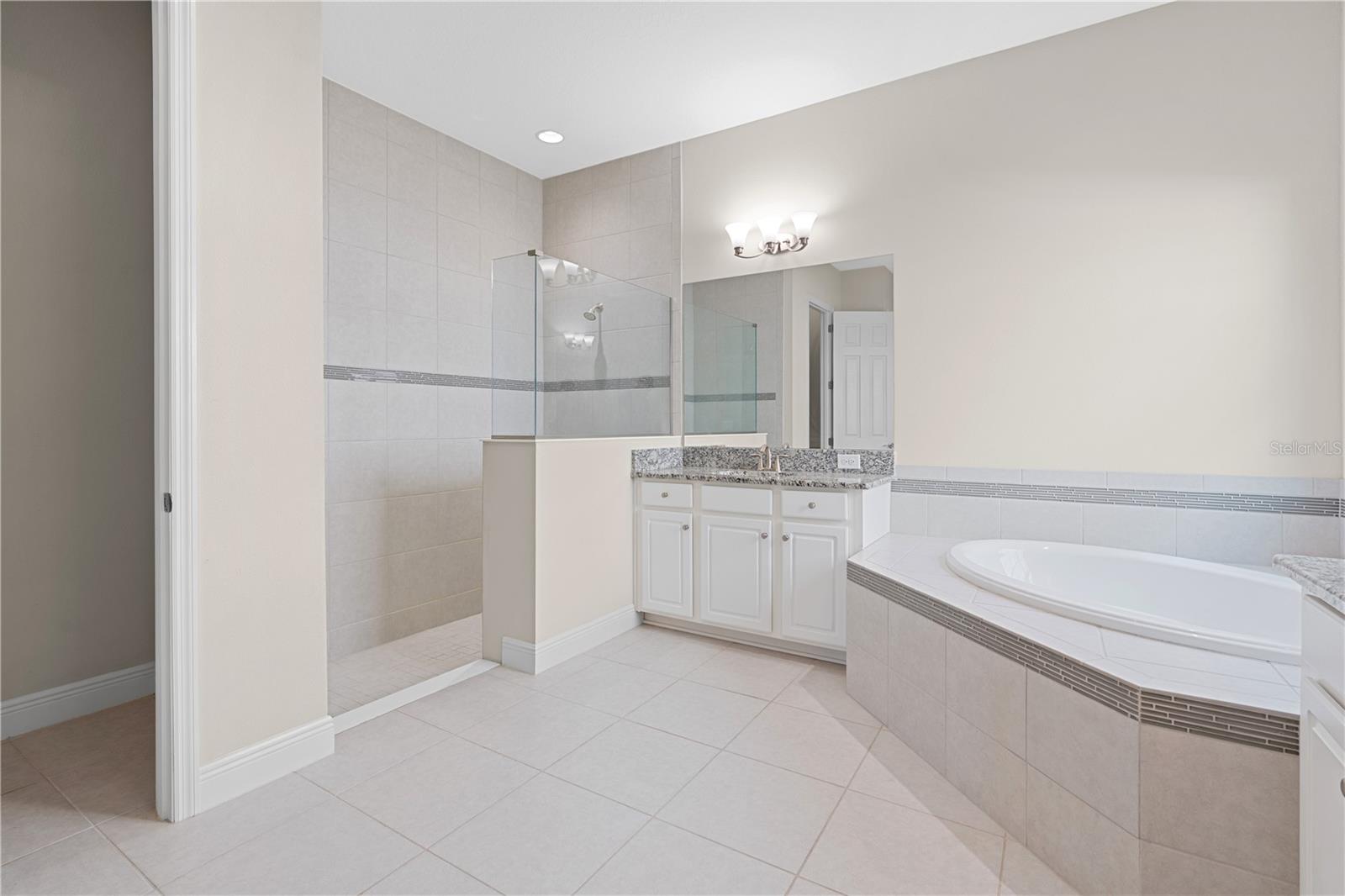downstairs master bath 1