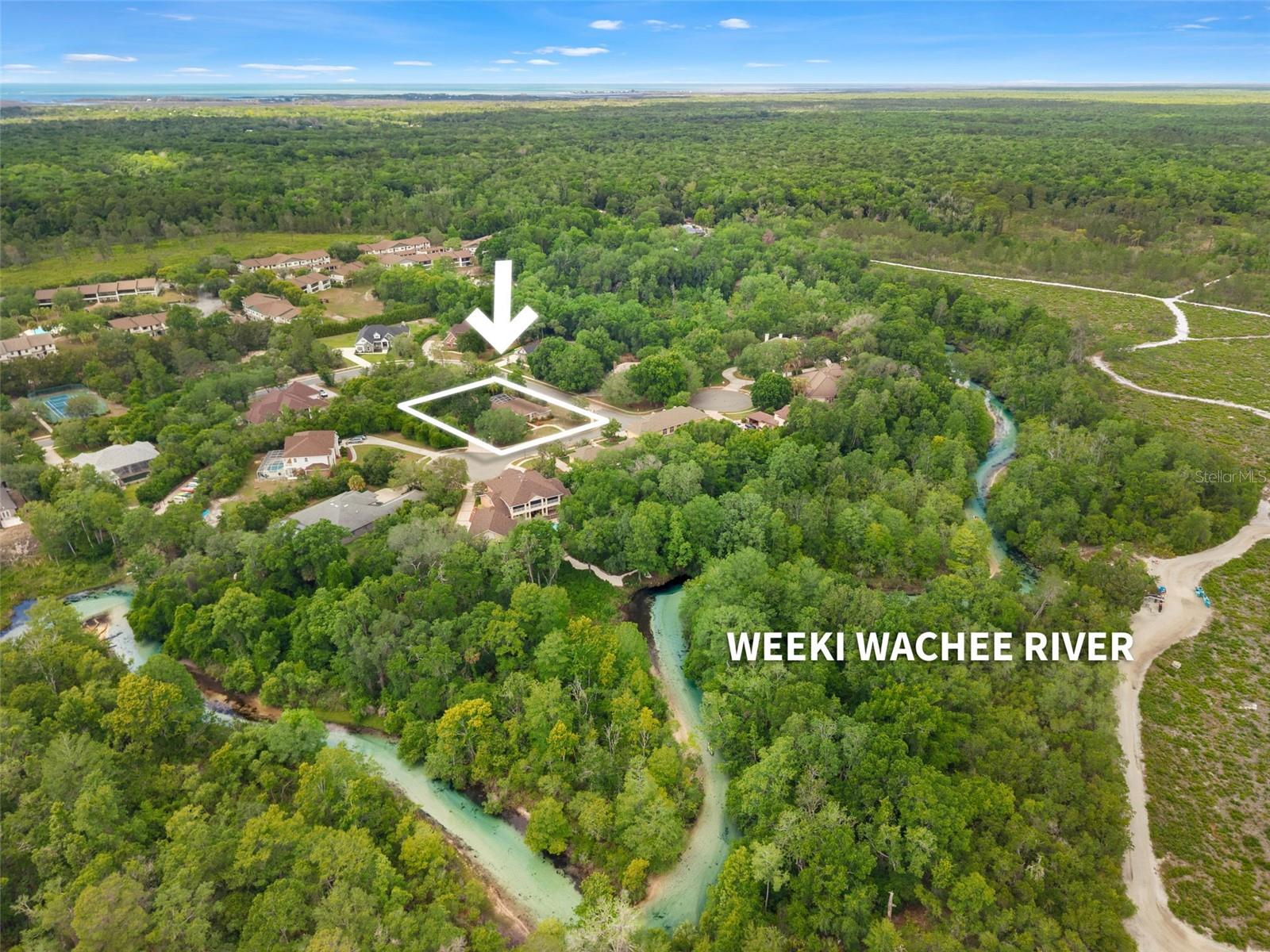 W7884956