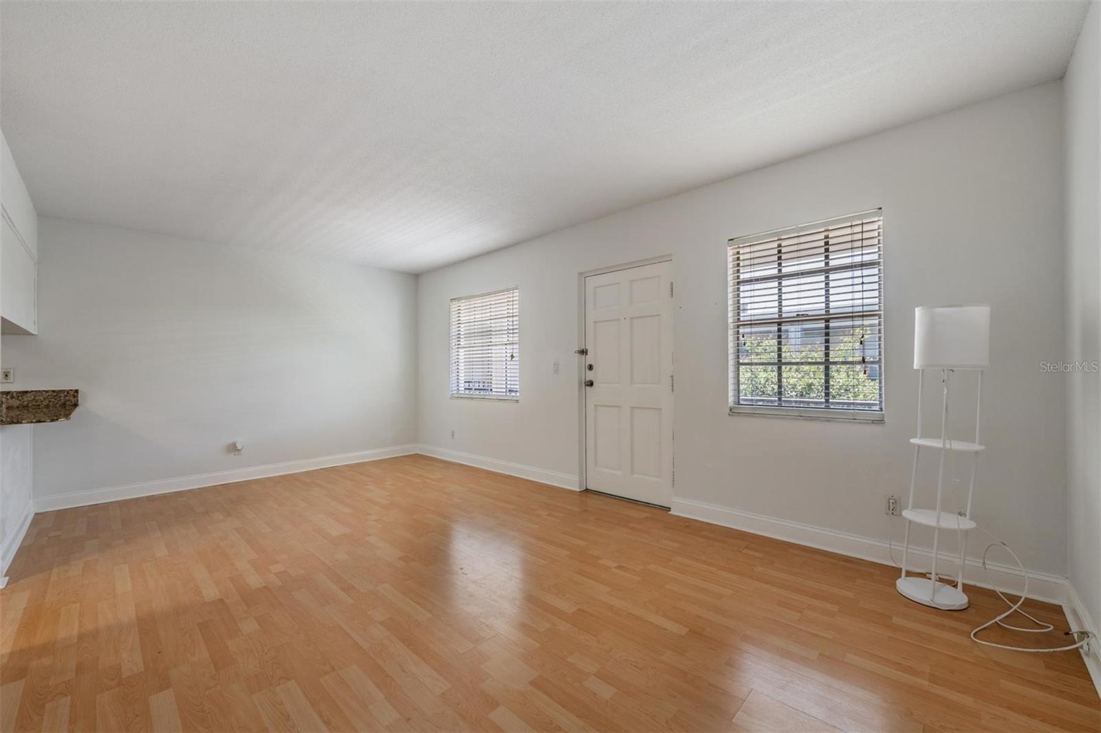 Great room. Front door.