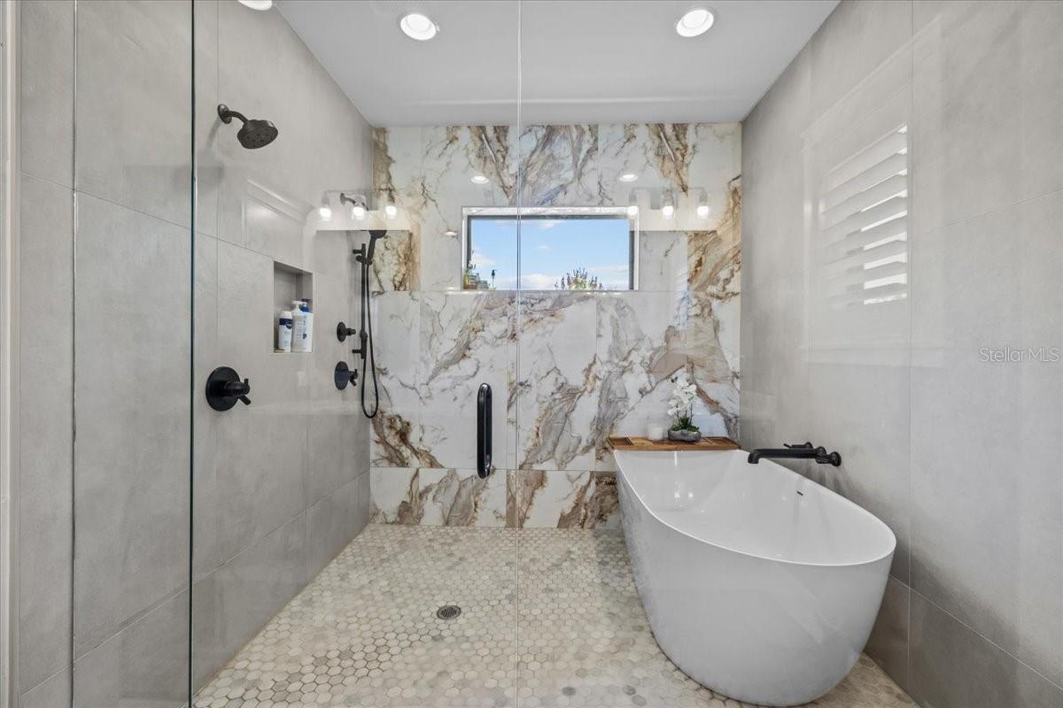 Luxury Shower and stand alone tub