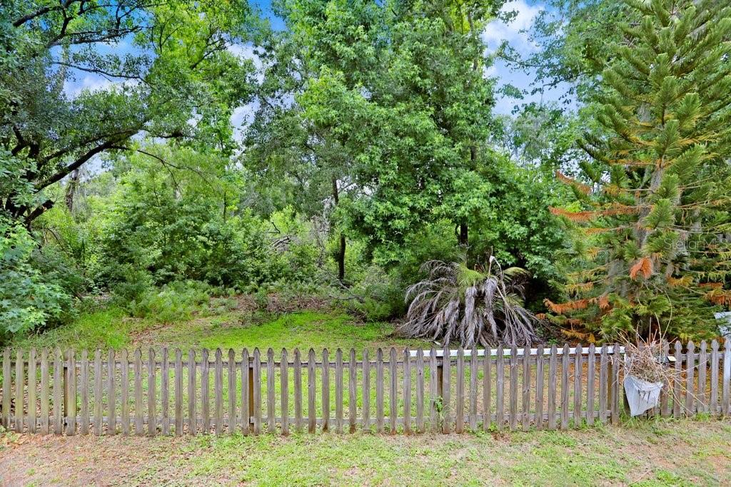Conservation backyard