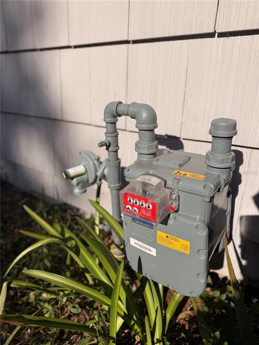 Gas meter present outside, but no gas appliances have ever been installed.