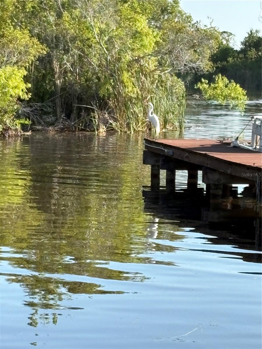 Dock